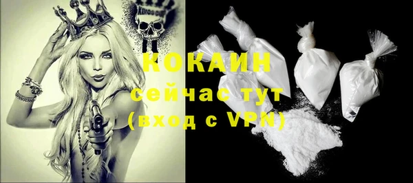 мдпв Горняк