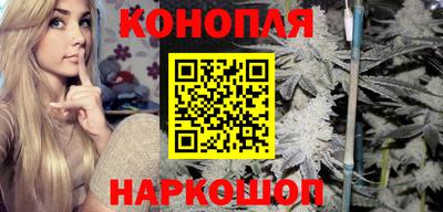 стаф Гай
