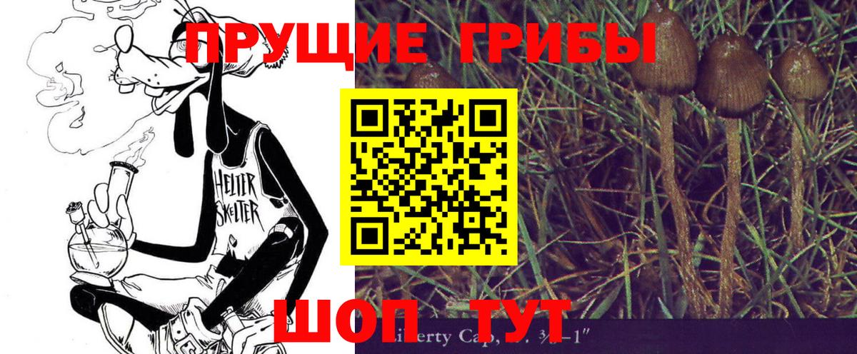 Дедовск  Галлюциногенные грибы Cubensis  Вход с VPN 