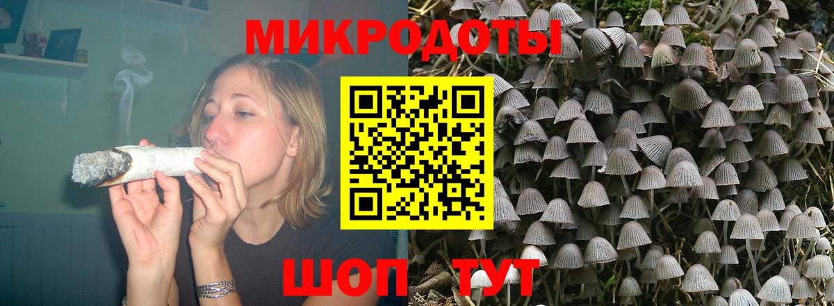 Псилоцибиновые грибы прущие грибы  Дедовск  Галлюциногенные грибы мицелий 